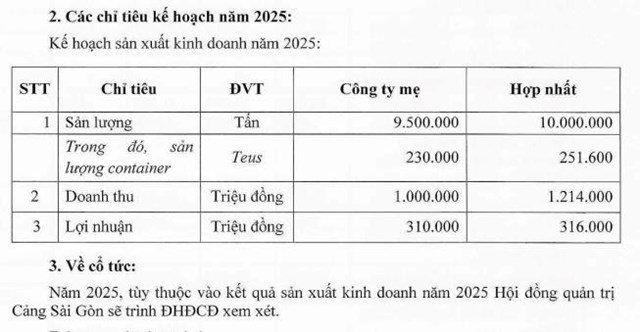 Cảng S&#224;i G&#242;n (SGP): Đặt mục ti&#234;u l&#227;i 316 tỷ đồng năm 2025, chuẩn bị cho Cảng trung chuyển quốc tế Cần Giờ - Ảnh 2