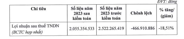 Bất động sản Thế Kỷ (CRE) bị đưa v&#224;o diện cảnh b&#225;o v&#236; kiểm to&#225;n c&#243; &#253; kiến ngoại trừ - Ảnh 2