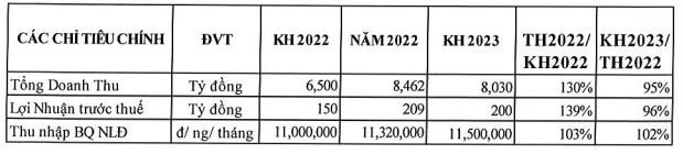 Kế hoạch kinh doanh năm 2023 của VGG