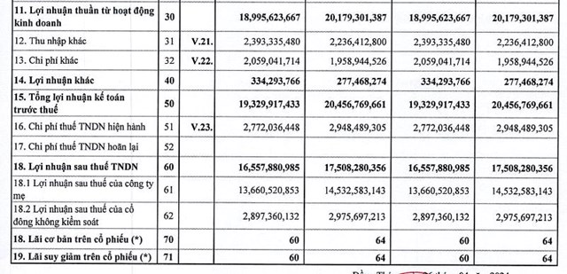 Đầu tư v&#224; Ph&#225;t triển quốc gia I.D.I (IDI) b&#225;o l&#227;i 16,5 tỷ đồng qu&#253; I/2024, ho&#224;n th&#224;nh 6% kế hoạch năm - Ảnh 2