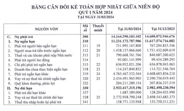 Tập đo&#224;n Đất Xanh (DXG) b&#225;o doanh thu cao gấp gần 3 lần so với c&#249;ng kỳ trong qu&#253; I/2024 - Ảnh 3