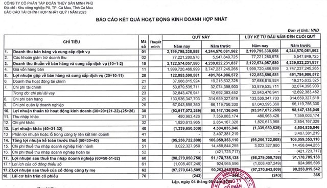 Kết quả kinh doanh qu&yacute; I/2023 của MPC