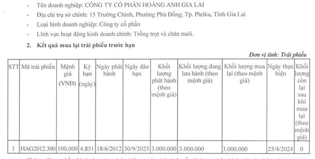 Ho&#224;ng Anh Gia Lai (HAG) mua lại 300 tỷ đồng tr&#225;i phiếu trước hạn 1 năm  - Ảnh 1