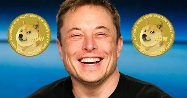 Elon Musk: &quot;Bạn c&#243; muốn Tesla chấp nhận thanh to&#225;n bằng Dogecoin?&quot; - Ảnh 1