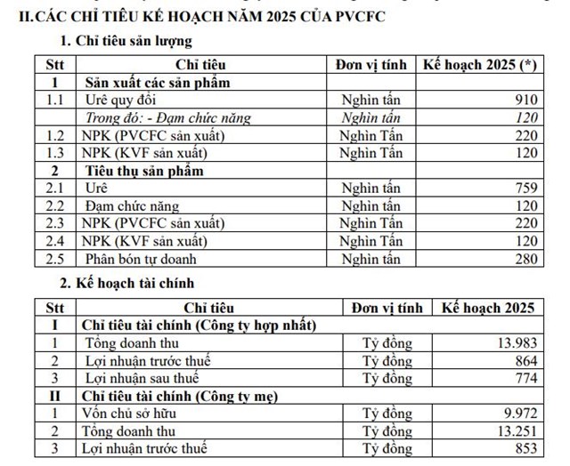 Đạm C&#224; Mau (DCM) đặt mục ti&#234;u l&#227;i 2025 đạt 774 tỷ đồng, muốn đầu tư nh&#224; m&#225;y sản xuất ph&#226;n b&#243;n hữu cơ vi sinh - Ảnh 1