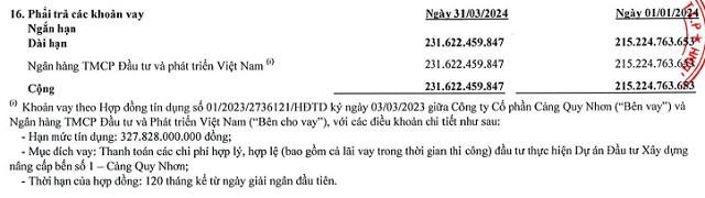 Cổ đ&#244;ng của Cảng Quy Nhơn (QNP) sắp chi hơn 48 tỷ đồng tiền trả cổ tức, Vinalines nhận về gần 36,4 tỷ đồng - Ảnh 2