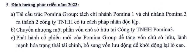 Th&#233;p Pomina (POM) muốn ph&#225;t h&#224;nh cổ phiếu để bổ sung vốn nhằm khởi động lại l&#242; cao - Ảnh 1