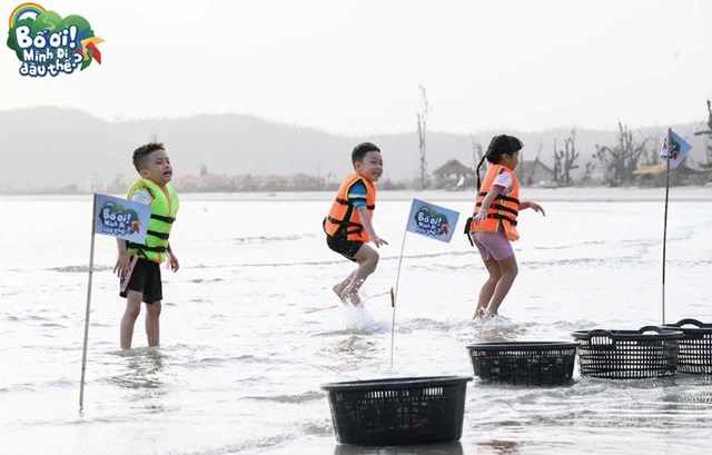 C&aacute;c con n&ocirc; đ&ugrave;a tr&ecirc;n biển