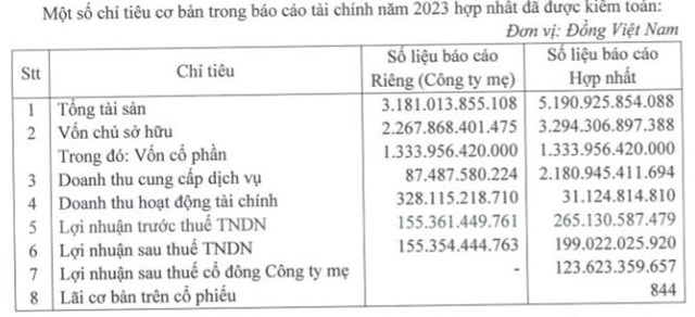 ĐHĐCĐ 2024 của Viconship: Đặt mục ti&#234;u l&#227;i 320 tỷ đồng, h&#233; lộ loạt kế hoạch đầu tư quan trọng - Ảnh 1