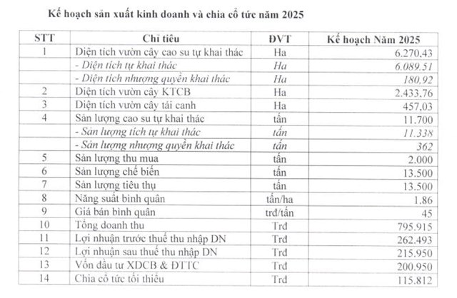Cao su Đồng Ph&#250; (DPR) đặt mục ti&#234;u kinh doanh năm 2025 &#39;đi l&#249;i&#39; - Ảnh 1