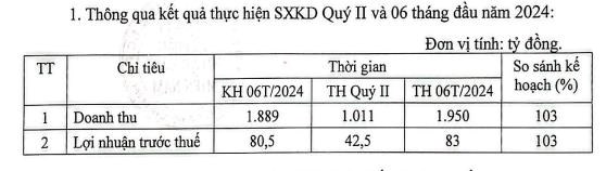 Pinaco (PAC) b&#225;o l&#227;i trước thuế 6 th&#225;ng đầu năm đạt hơn 80 tỷ đồng, vượt kế hoạch 3% - Ảnh 1