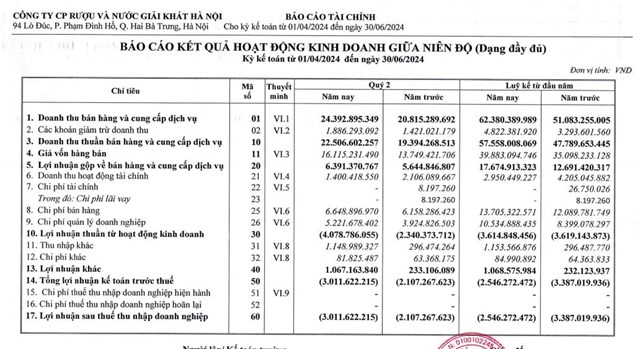 Chủ h&#227;ng vodka H&#224; Nội Halico (HNR) b&#225;o lỗ trở lại trong qu&#253; II/2024 - Ảnh 1