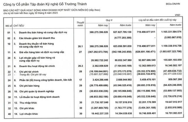 Doanh thu giảm mạnh, Gỗ Trường Th&#224;nh (TTF) b&#225;o lỗ 30,2 tỷ đồng trong qu&#253; II/2023  - Ảnh 1