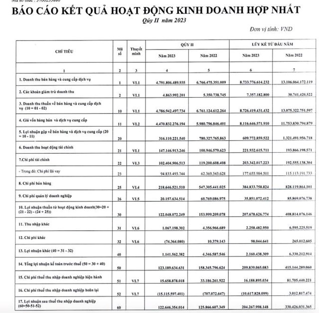 Kết quả kinh doanh qu&yacute; II/2023 của T&ocirc;n Đ&ocirc;ng &Aacute;