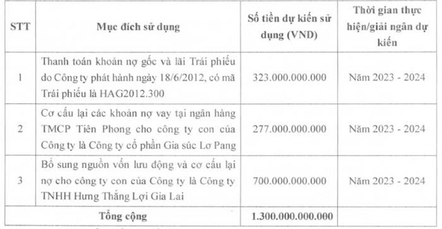 Ho&#224;ng Anh Gia Lai (HAG) muốn huy động 1.300 tỷ đồng từ nh&#224; đầu tư - Ảnh 1