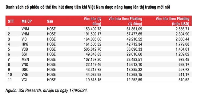 SSI Research chỉ ra 11 cổ phiếu hưởng lợi khi Bộ T&#224;i ch&#237;nh th&#244;ng qua quy định k&#253; quỹ trước giao dịch - Ảnh 1