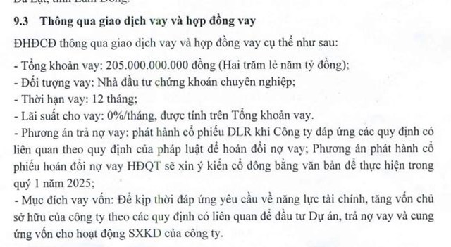 ĐHĐCĐ C&#244;ng ty Địa ốc Đ&#224; Lạt (DLR): Th&#244;ng qua vay 205 tỷ đồng để tăng vốn chủ sở hữu, l&#234;n phương &#225;n trả nợ vay - Ảnh 2