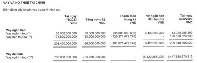 Viconship (VSC) muốn huy động hơn 1.330 tỷ đồng để mua th&#234;m vốn Cảng Nam Hải Đ&#236;nh Vũ - Ảnh 3