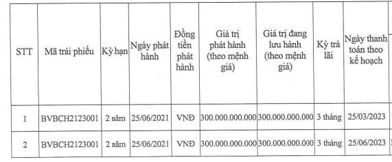 Doanh nghiệp li&#234;n quan đến Bitexco - C&#244;ng ty BVB tiếp tục xin gia hạn thanh to&#225;n tr&#225;i phiếu - Ảnh 2