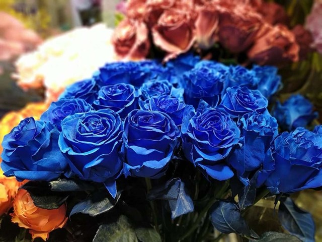 Hoa hồng nhập khẩu được nhiều kh&aacute;ch đặt mua dịp 20/10 năm nay. Ảnh:&nbsp;Flower box.