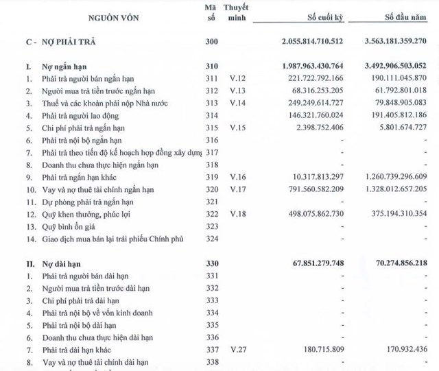 H&#243;a chất Đức Giang (DGC): L&#227;i sau thuế &#39;đi l&#249;i&#39;, c&#243; khoản đầu tư ngắn hạn đạt hơn 11.000 tỷ đồng - Ảnh 3