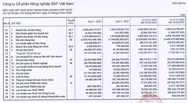 Gi&#225; b&#225;n heo thấp, N&#244;ng nghiệp BaF (BAF) b&#225;o l&#227;i qu&#253; III/2023 giảm tới 74,6% so với c&#249;ng kỳ - Ảnh 1