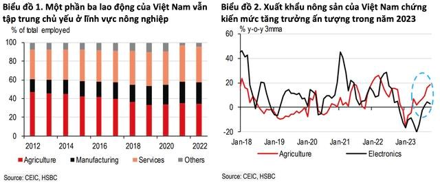 HSBC: N&#244;ng sản l&#224; điểm s&#225;ng trong lĩnh vực xuất khẩu của Việt Nam - Ảnh 2