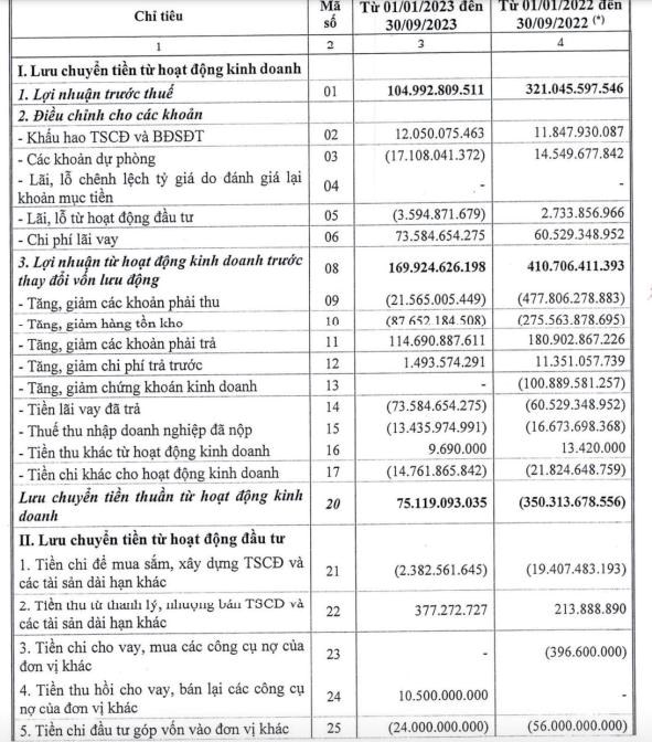 Doanh thu giảm s&#226;u, Ph&#225;t triển Nh&#224; B&#224; Rịa - Vũng T&#224;u (HDC) b&#225;o l&#227;i sau thuế 9 th&#225;ng &quot;đi l&#249;i&quot; 66% - Ảnh 3