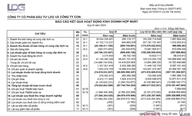 C&#244;ng ty Đầu tư LDG (LDG) b&#225;o lỗ 473,2 tỷ đồng trong 9 th&#225;ng đầu năm 2024, lượng tiền mặt chỉ c&#242;n 410 triệu đồng - Ảnh 1