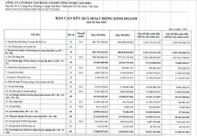 Siba Group (SBG) tiếp tục ch&#224;o b&#225;n hơn 1,9 triệu cổ phiếu &#39;ế&#39; cho cổ đ&#244;ng hiện hữu - Ảnh 2