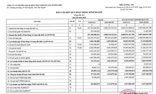 Khai th&#225;c Kho&#225;ng sản Dương Hiếu (DHM) muốn ph&#225;t h&#224;nh hơn 3,1 triệu cổ phiếu để tăng vốn - Ảnh 1