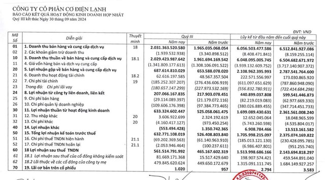 B&#224; Nguyễn Thị Mai Thanh rời ghế Chủ tịch Hội đồng quản trị Cơ điện lạnh (REE)  - Ảnh 1