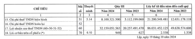 L&#227;i sau thuế qu&#253; III/2024 tăng trưởng, Thực phẩm B&#237;ch Chi (BCF) sắp tạm ứng cổ tức tỷ lệ 10% - Ảnh 2