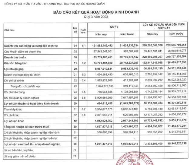 Địa ốc Ho&#224;ng Qu&#226;n (HQC) sắp ch&#224;o b&#225;n ri&#234;ng lẻ 100 triệu cổ phiếu - Ảnh 1