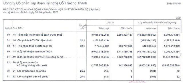 Kinh doanh thua lỗ, Gỗ Trường Th&#224;nh (TTF) vẫn được cấp mới t&#237;n dụng 400 tỷ đồng - Ảnh 2