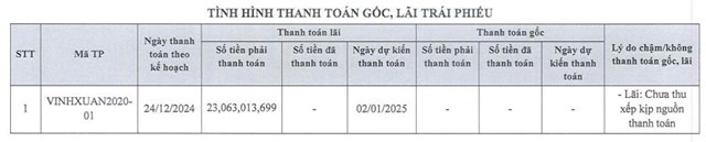 Bất động sản Vĩnh Xu&#226;n: Chậm thanh to&#225;n l&#227;i tr&#225;i phiếu hơn 23 tỷ đồng, nợ phải trả gấp 4 lần vốn chủ sở hữu - Ảnh 1