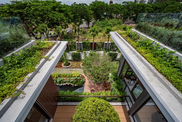 Sân thượng của biệt thự được phủ xanh bởi nhiều loài cây để giảm bớt bức xạ nhiệt từ bên ngoài vào biệt thự đồng thời mở rộng không gian xanh ra toàn bộ K-Villa+. 