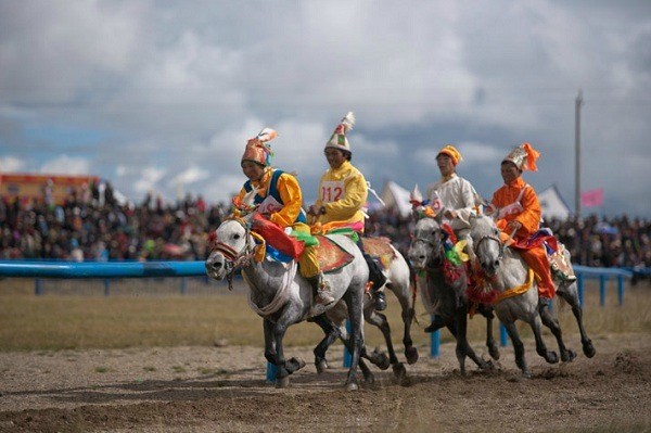 Ngựa l&agrave; phương tiện vận chuyển chủ yếu ở T&acirc;y Tạng
