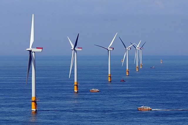 Phối cảnh dự án điện gió ngoài khơi Thăng Long Wind - Ảnh: Tập đoàn EE