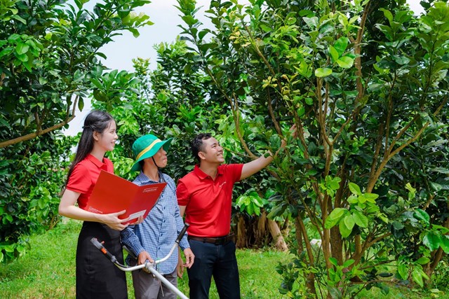 Agribank ưu ti&ecirc;n t&agrave;i trợ cho c&aacute;c dự &aacute;n n&ocirc;ng nghiệp c&ocirc;ng nghệ cao, năng lượng t&aacute;i tạo, trồng rừng v&agrave; kinh tế tuần ho&agrave;n.