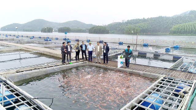 C&#244;ng ty CP C&#225; sạch Việt Nam: Tự h&#224;o thương hiệu Việt! - Ảnh 4