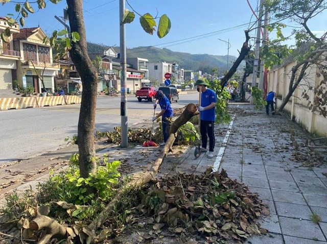 Đo&agrave;n vi&ecirc;n thanh ni&ecirc;n TKV thu dọn c&acirc;y v&agrave; r&aacute;c thải sau b&atilde;o.