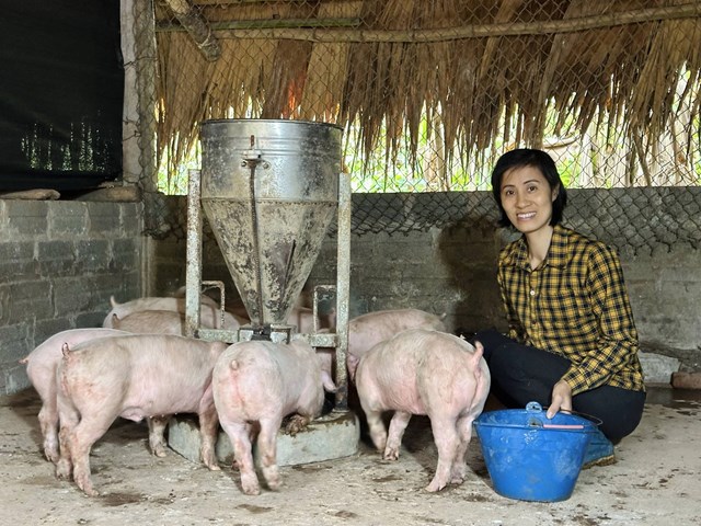 Chị Nguyễn Thị Tư (Th&aacute;i Nguy&ecirc;n) v&agrave; đ&agrave;n lợn giống do Ước mơ xanh trao tặng th&aacute;ng 12/2024 &nbsp;