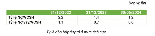 Bamboo Capital (BCG): lợi nhuận sau thuế qu&#253; 2/2024 đạt 318,6 tỷ đồng, tăng trưởng đến 98,2% - Ảnh 3