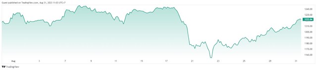 VN-Index chứng kiến đ&agrave; tăng trở lại trong 2 tuần gần đ&acirc;y. &nbsp;