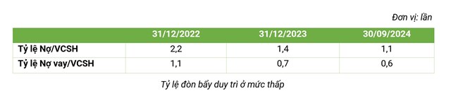 Bamboo Capital (BCG): Lợi nhuận 9 th&#225;ng đầu năm đạt 748 tỷ đồng, tăng gấp 4 lần, chi ph&#237; t&#224;i ch&#237;nh giảm mạnh - Ảnh 3