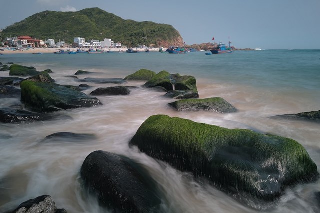 B&#225;n đảo Hải Giang - Quy Nhơn: Một ng&#224;y đến, những ng&#224;y y&#234;u… - Ảnh 3