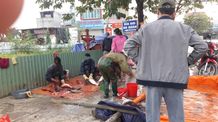 Giải pháp nào đảm bảo an toàn thực phẩm chợ dân sinh - Ảnh 2